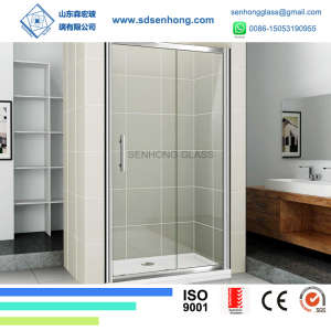 Decorative Swing Sliding Frameless Tempered Glass Shower Door