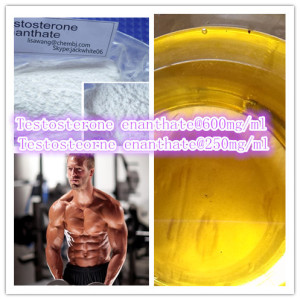 Primoteston Test Enanthate Testosterone Enanthate